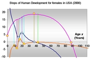 Steps of Human Development